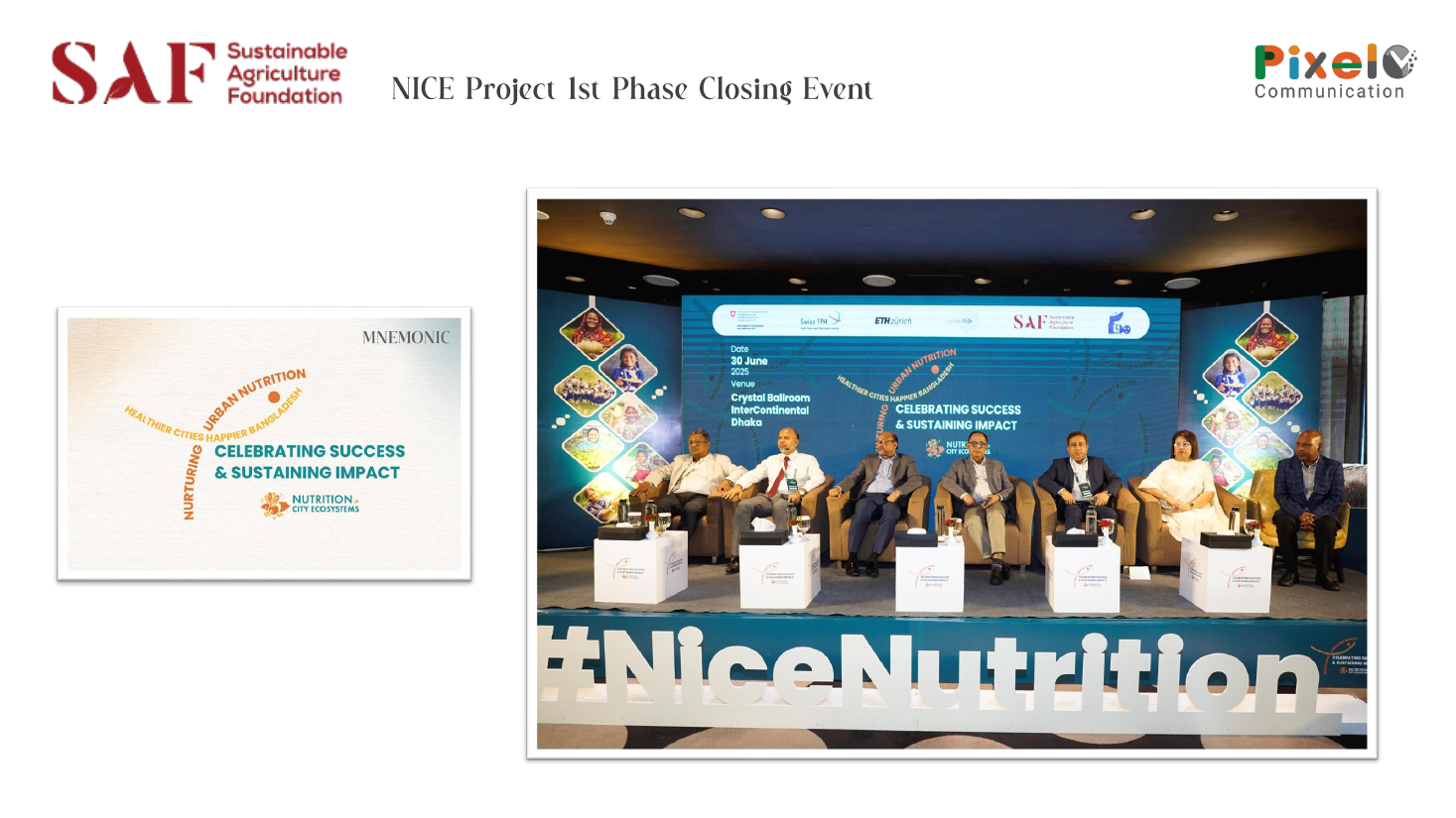 SAF NICE Project closing